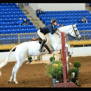 Meet your Posher, Kim